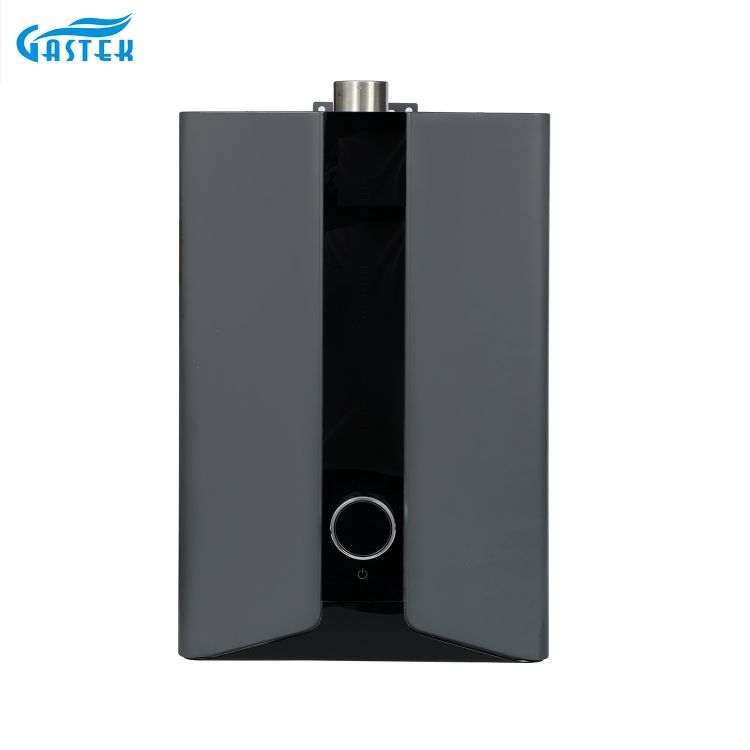 Elektrisitet 220V 110V LCD -panel Tvangstype Konstant temperatur Gassvannsbereder for bad