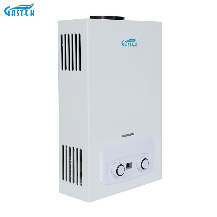 Husholdningsapparater Boiler Røykrør Type Dusj LPG Gassvannvarmer for dusjbading