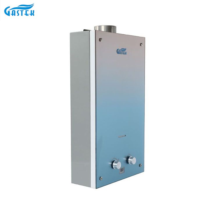 Husholdningsapparat 6L 10L 12L Røykrør Type Veggmontert tilpasset glasspanel Tankløs instant gassgeyser for dusjbading