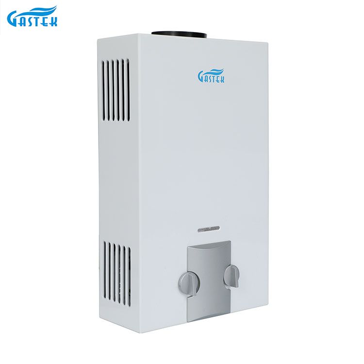 Husholdningsapparater Fabrikk OEM ODM Røykrør Type Veggmontert 6L 10L 12L 16L 20L LPG Tankløs Instant Gas Geyser for dusj